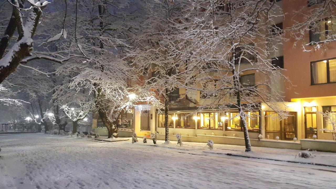 Spa Hotel Medicus ヴァルシェツ エクステリア 写真
