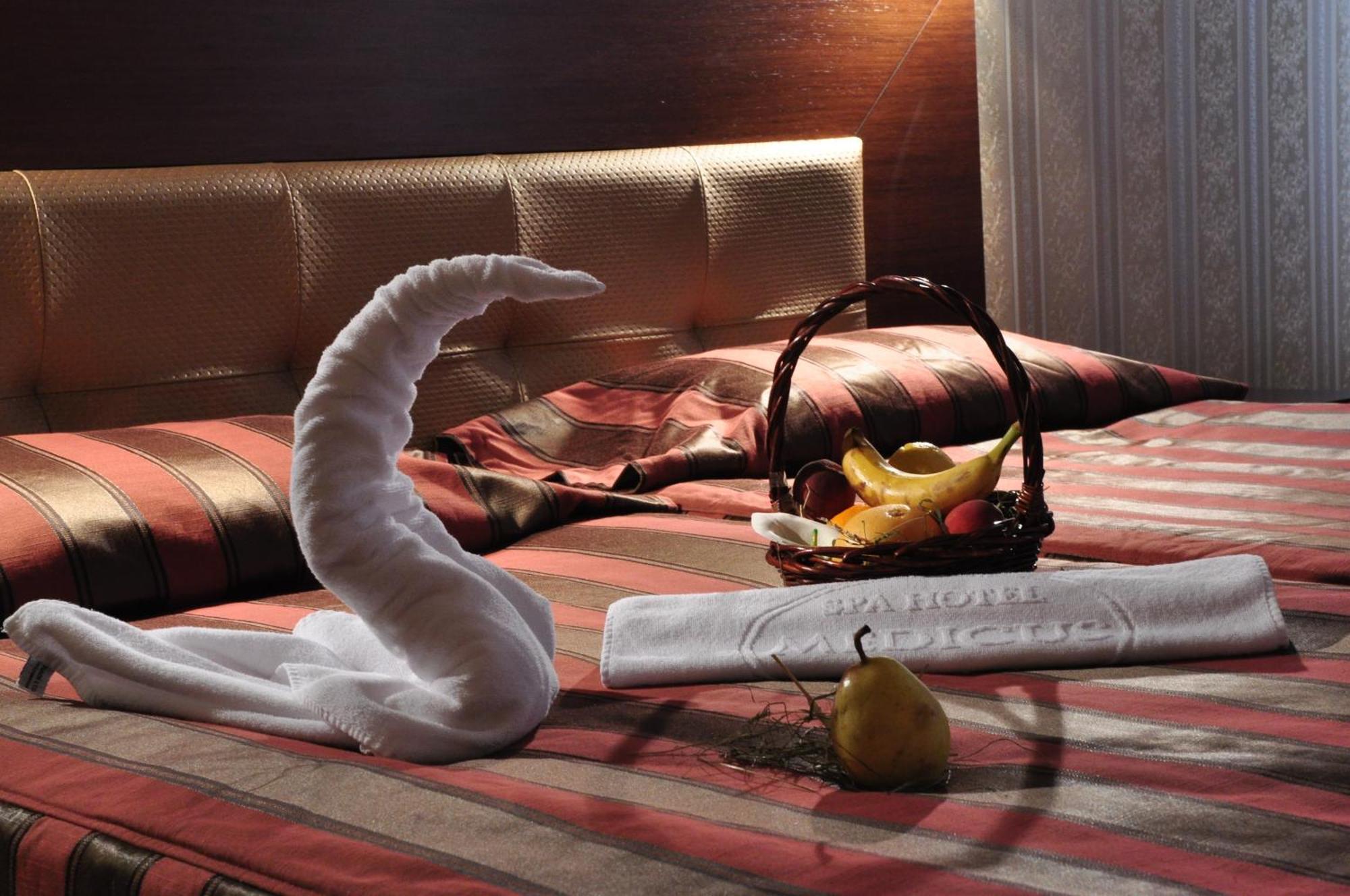 Spa Hotel Medicus ヴァルシェツ エクステリア 写真